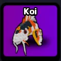 Koi