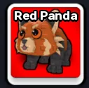 Red Panda