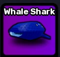 Whale Shark